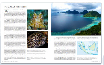 coral triangle, book, publication, madeja, kassem