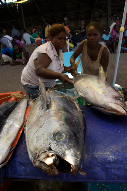 market, tuna, smashed, honiara, solomon islands, eric madeja