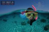 recreational diver, research diver, underwater photographer, filmmaker, snorkelers, marine tourism, scuba tourism