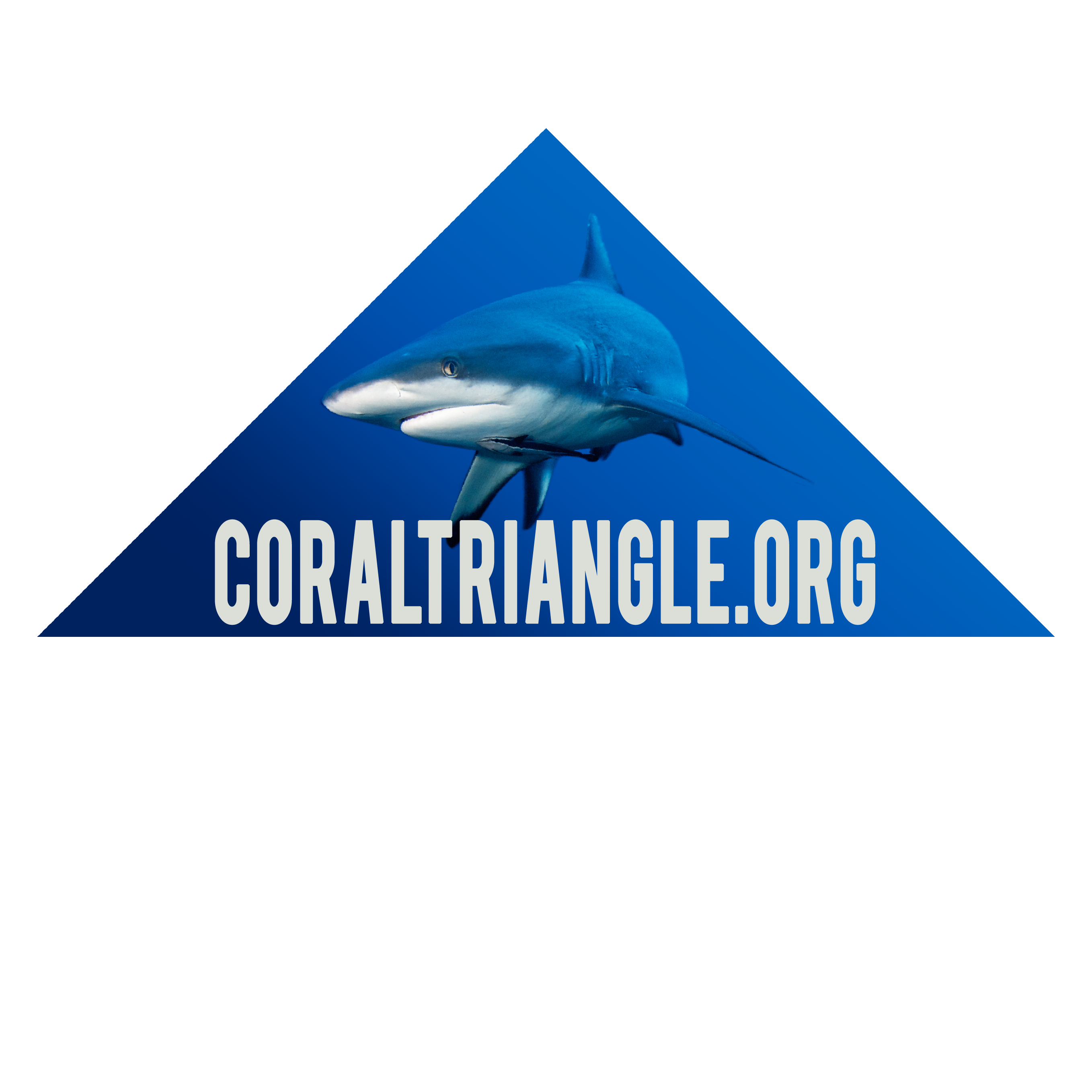 Photo of Sharks in the Coral Triangle
